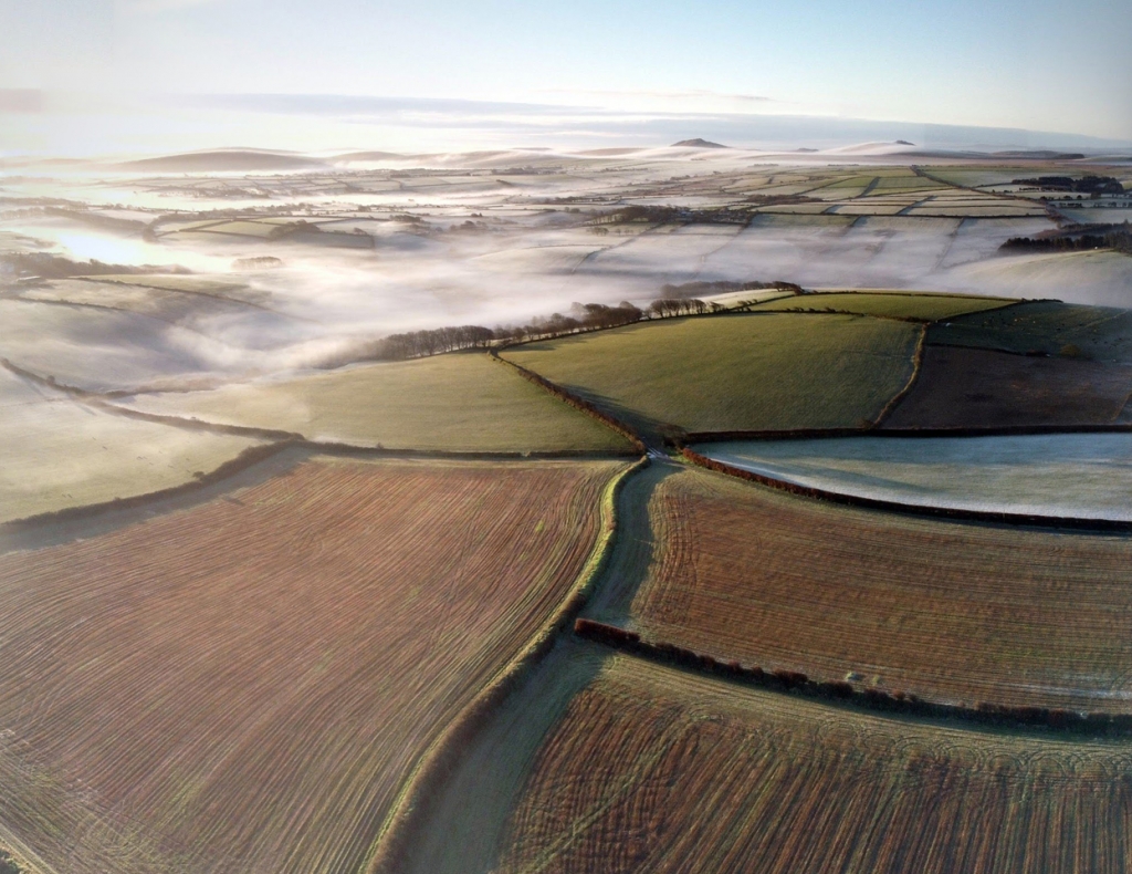 Countryside