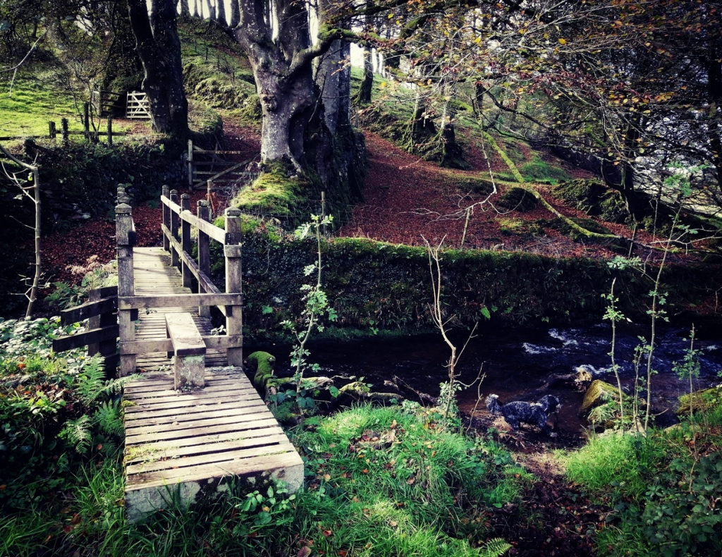 Countryside walk