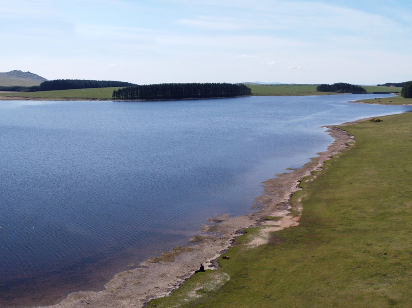 Crowdy Reservoir